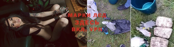бошки Козельск